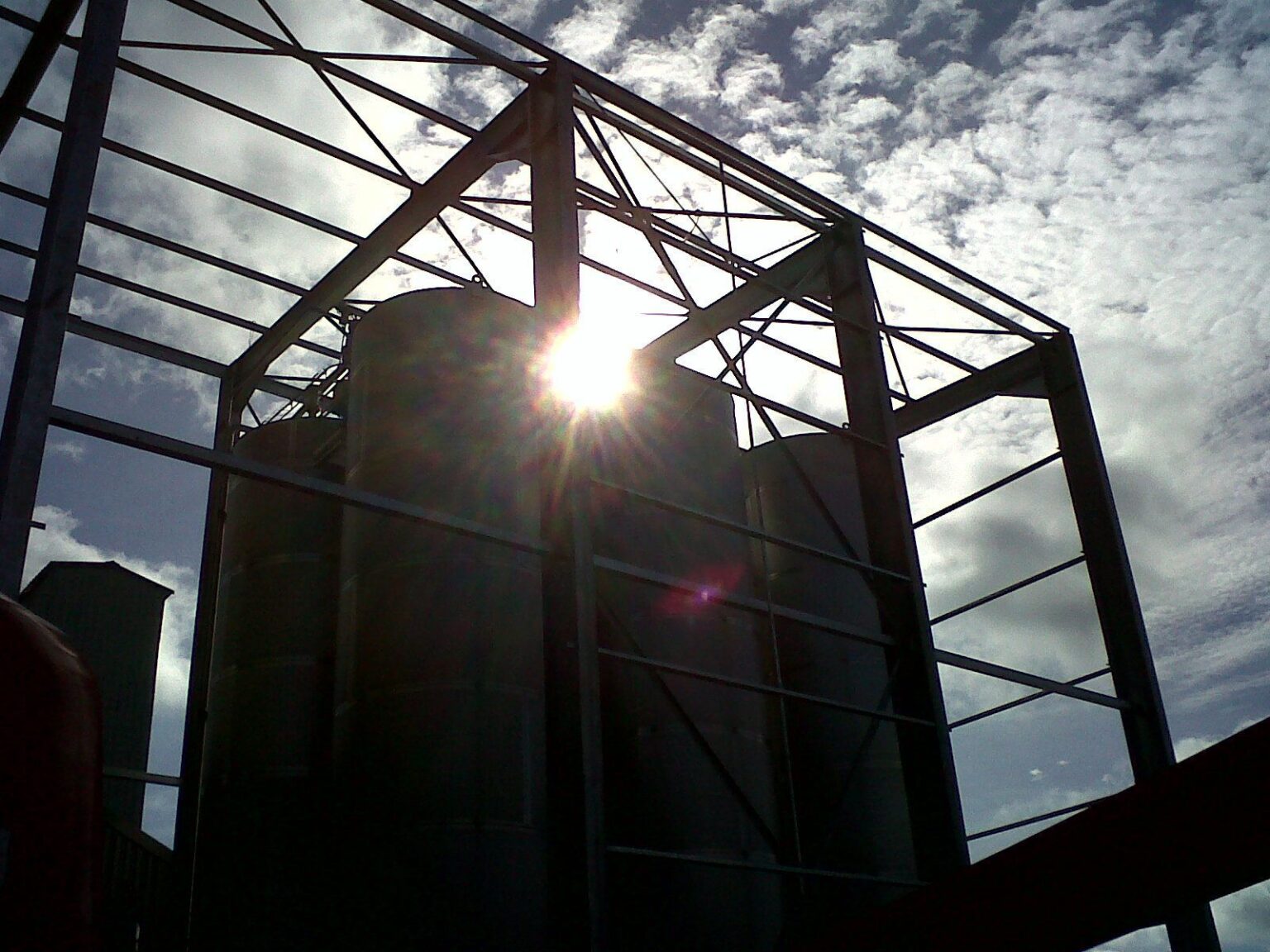 IMG00364-20110405-1107
