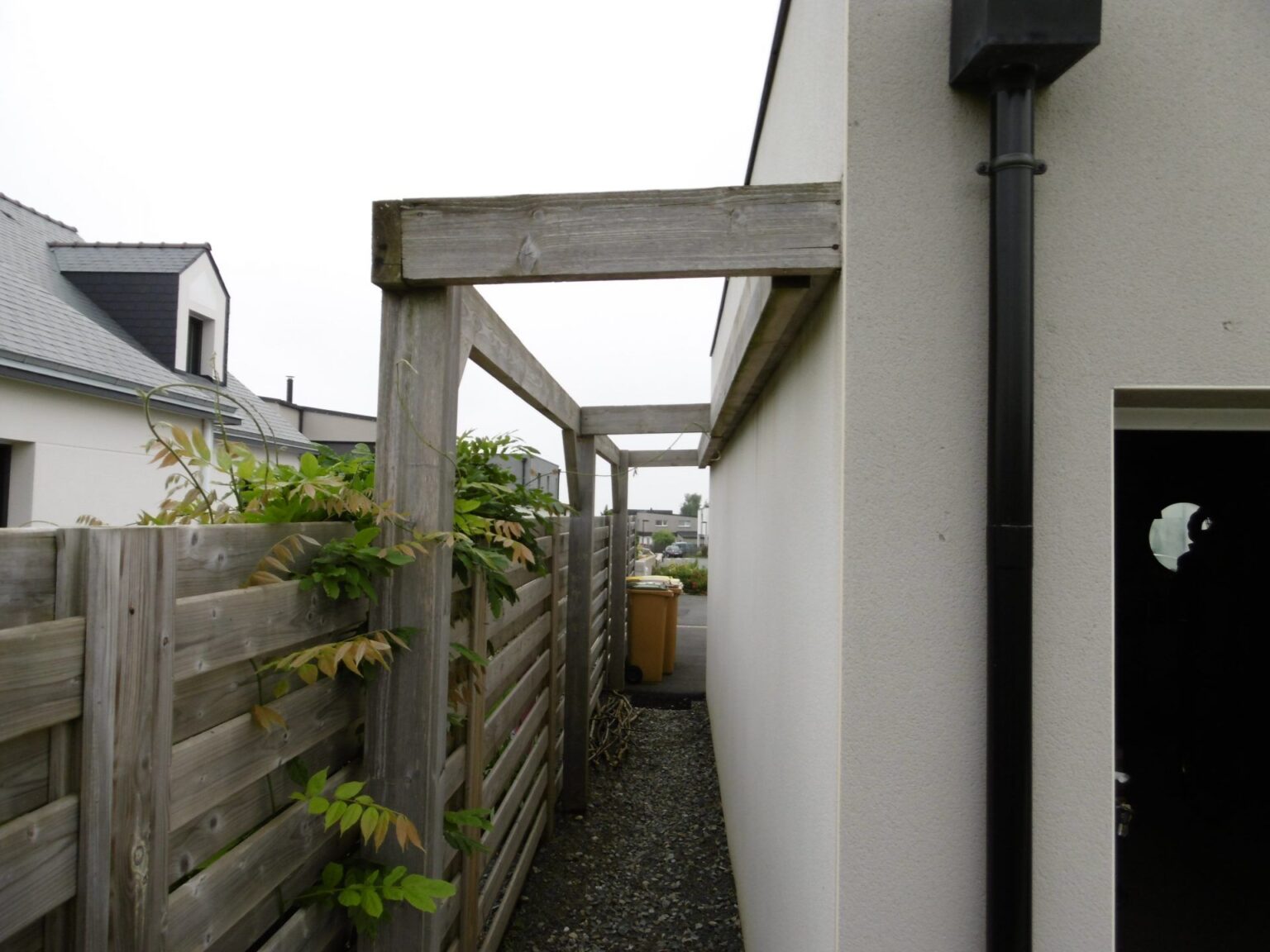 P1000242