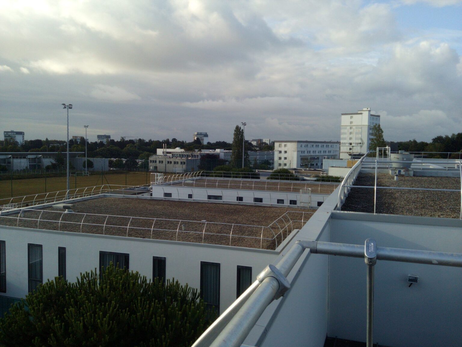 IMG_20200702_081604_1